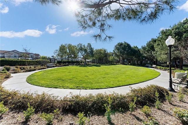 view of community featuring a yard