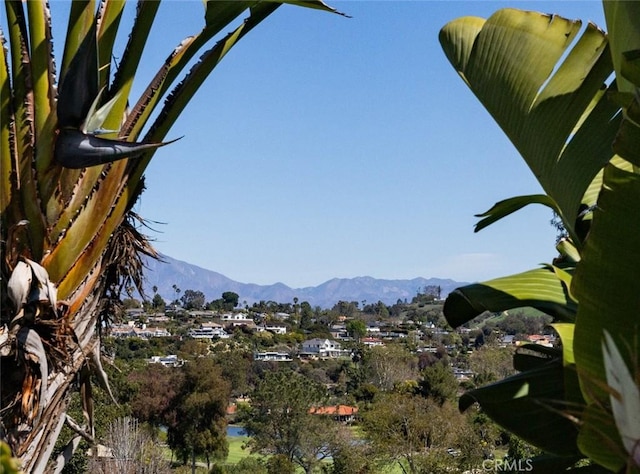 property view of mountains