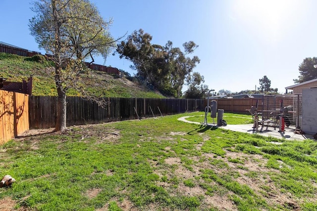 view of yard featuring a patio and a fenced backyard