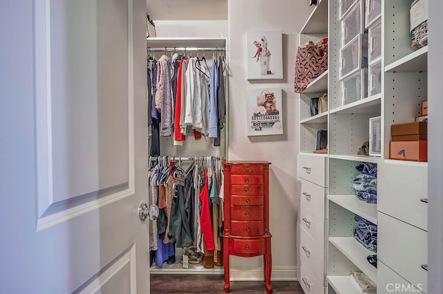 view of spacious closet