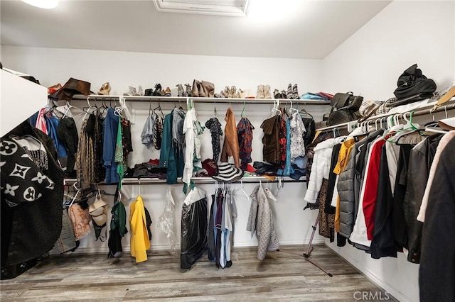 walk in closet featuring wood finished floors