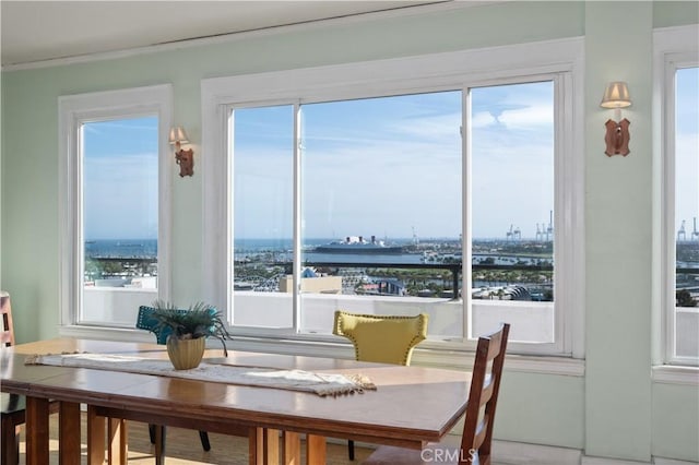 dining area with plenty of natural light