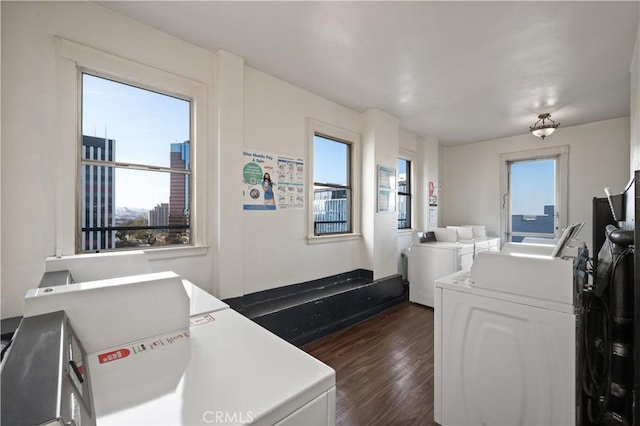 washroom with dark wood-type flooring and washer / clothes dryer