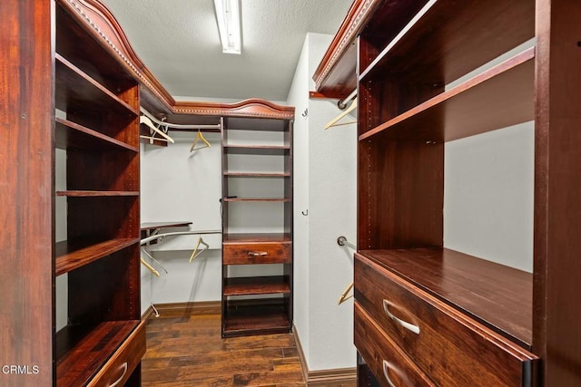 spacious closet with dark wood-style flooring