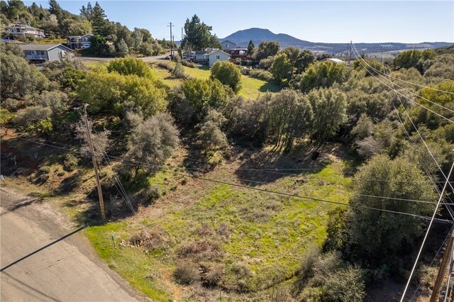 9513 Tenaya Way, Kelseyville, CA 95451 - photo 10