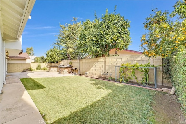 view of yard featuring a fenced backyard and a patio