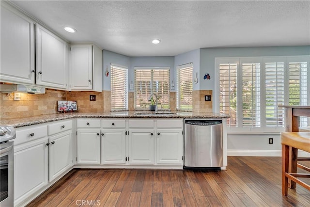 kitchen with a sink, dishwasher, dark wood-style floors, plenty of natural light, and range