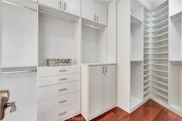 spacious closet featuring dark wood-style flooring