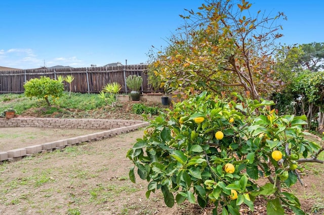 view of yard with a vegetable garden and fence