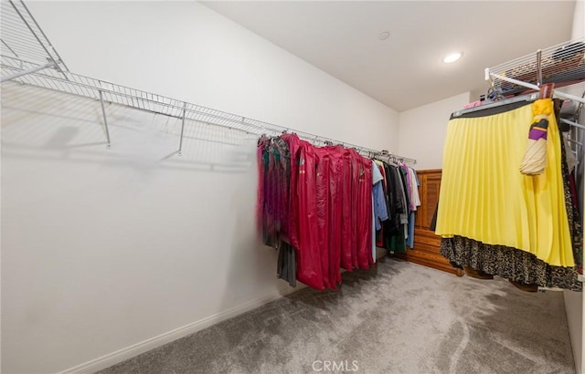 walk in closet with carpet