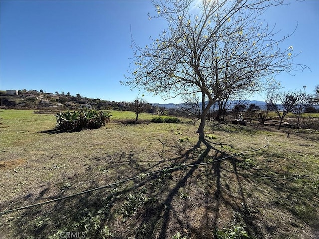 3130 Old Coach Dr, Camarillo, CA 93010 - photo 7