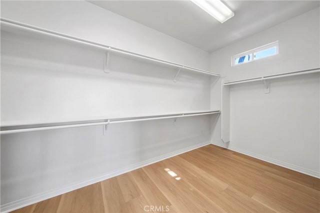 walk in closet featuring light wood finished floors