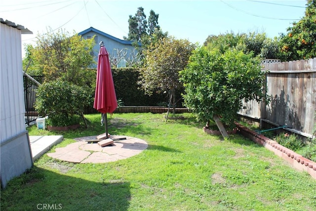 view of yard featuring a patio and a fenced backyard