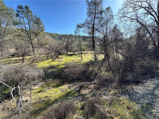 Listing photo 2 for 1395 New Long Valley Rd, Clearlake Oaks CA 95423