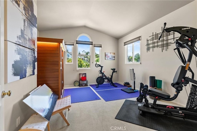 exercise area with carpet flooring and vaulted ceiling