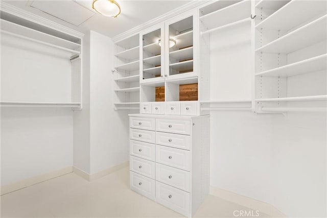 view of spacious closet