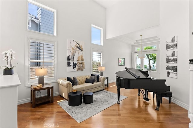 living area with baseboards, wood finished floors, and a towering ceiling