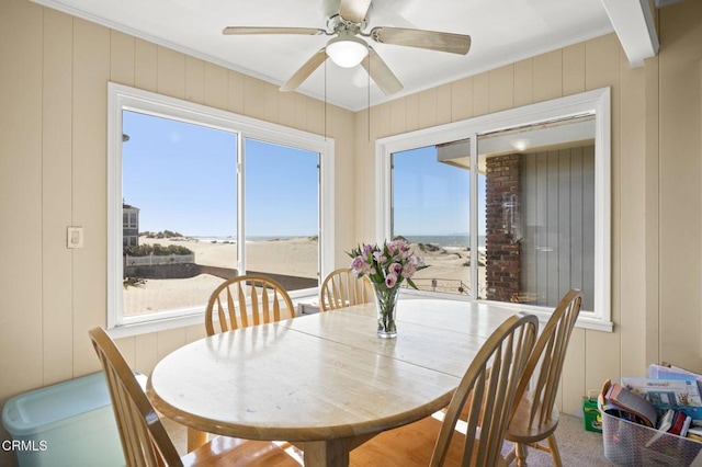 dining area with a ceiling fan and crown molding