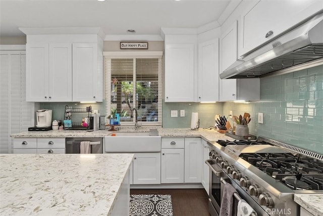 kitchen featuring under cabinet range hood, white cabinetry, stainless steel appliances, and a sink