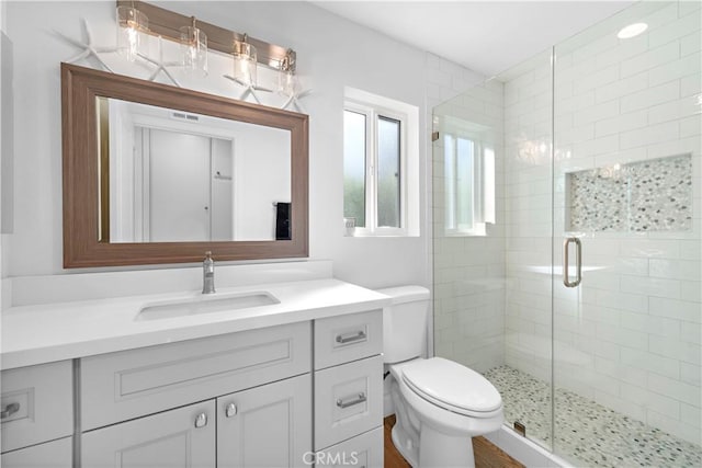 bathroom featuring vanity, a shower stall, and toilet