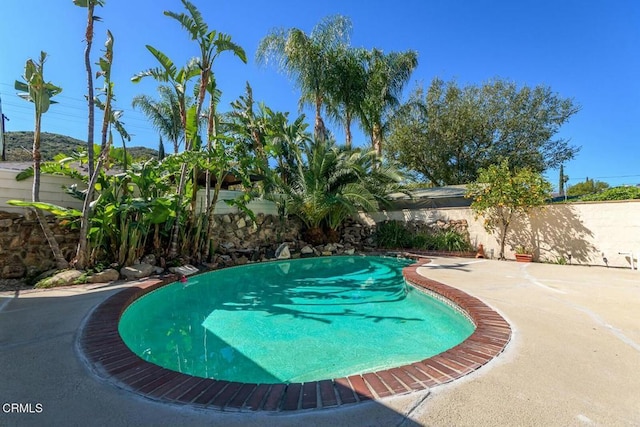 view of swimming pool featuring a fenced in pool and fence