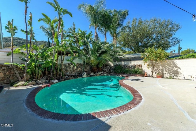 view of pool featuring a fenced in pool and a fenced backyard