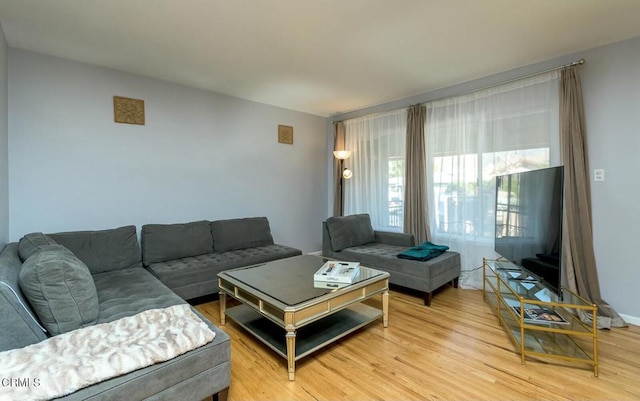 living area with light wood finished floors