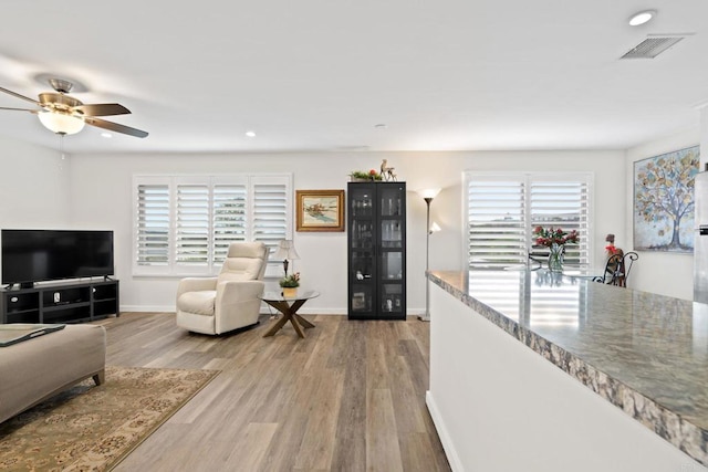 living area featuring wood finished floors, baseboards, and a wealth of natural light