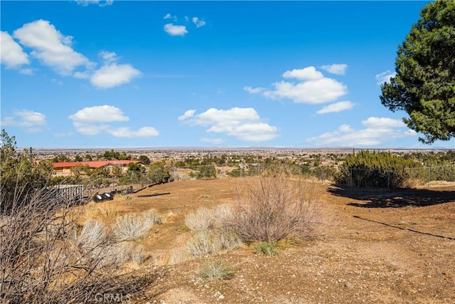 view of local wilderness