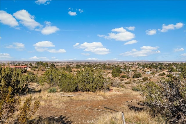 view of local wilderness