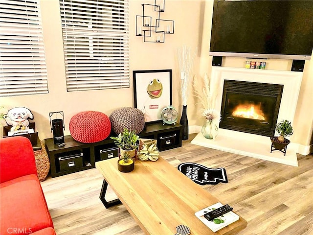 living room featuring a glass covered fireplace and wood finished floors