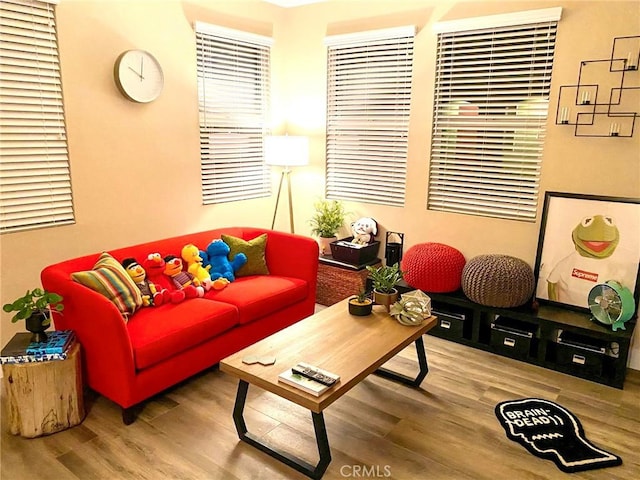 living area with wood finished floors