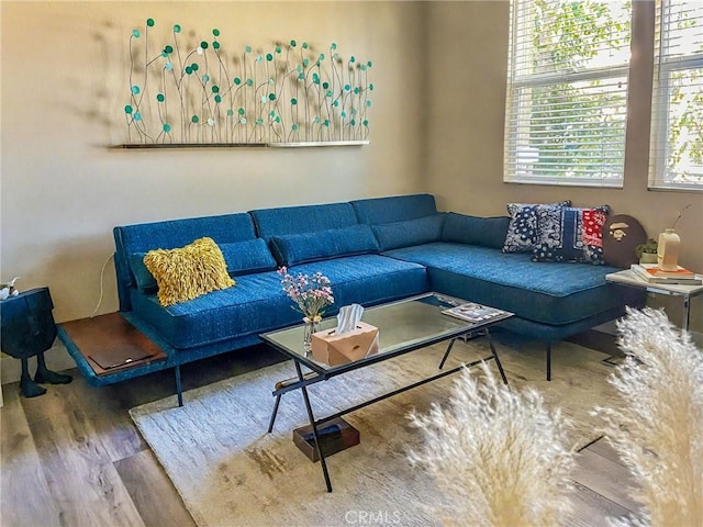 living room with wood finished floors