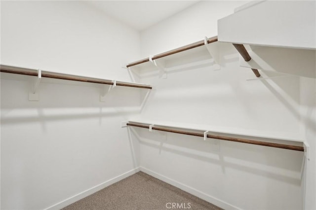 spacious closet featuring light colored carpet