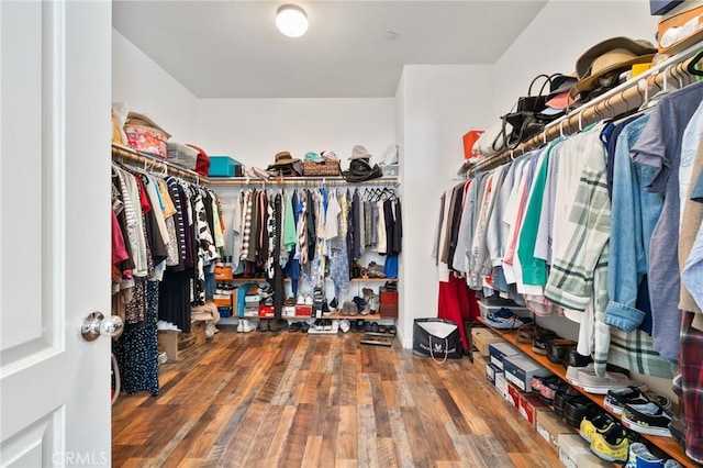 spacious closet with wood finished floors