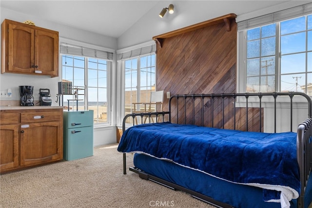 bedroom featuring lofted ceiling, multiple windows, and light carpet