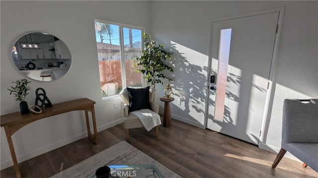 sitting room featuring baseboards and wood finished floors