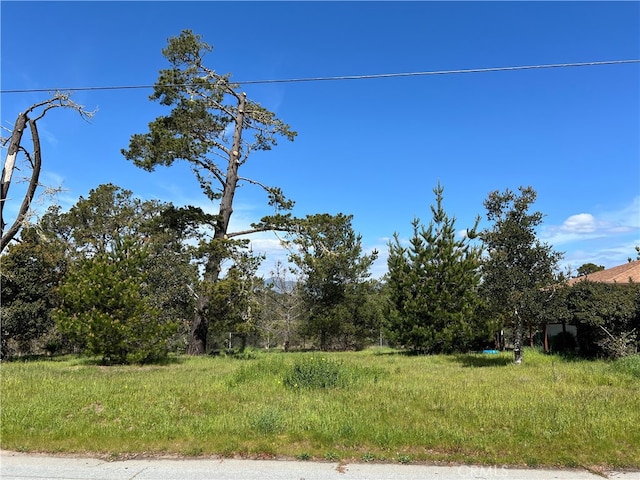 2540 Malvern St, Cambria CA, 93428 land for sale