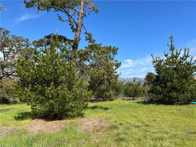 2540 Malvern St, Cambria, CA 93428 - photo 9