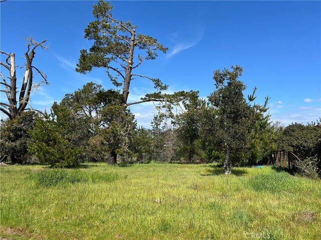 2540 Malvern St, Cambria, CA 93428 - photo 8