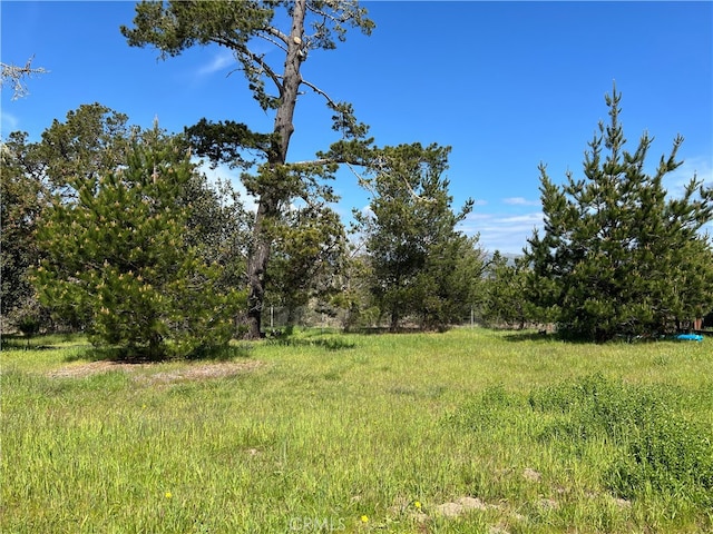 2540 Malvern St, Cambria, CA 93428 - photo 11
