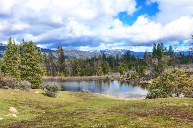 property view of water with a mountain view and a wooded view