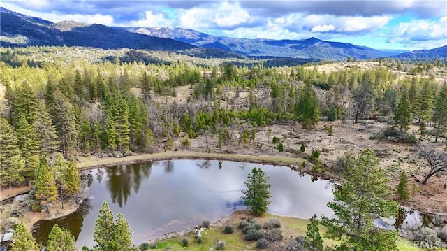 drone / aerial view featuring a forest view and a water and mountain view