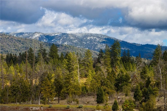 mountain view with a wooded view