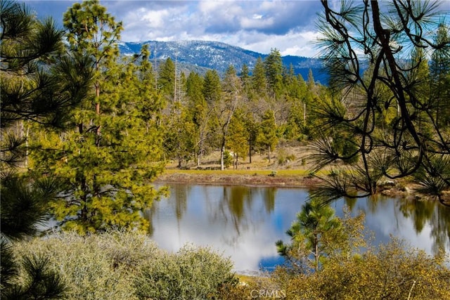 view of water feature featuring a mountain view