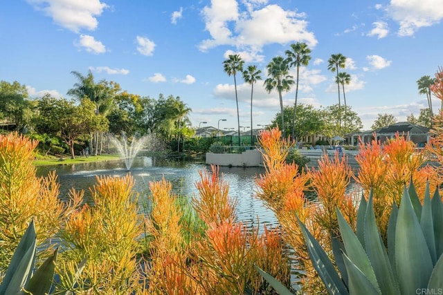 property view of water