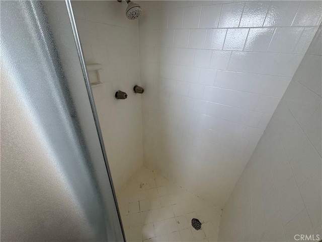 bathroom with a shower stall