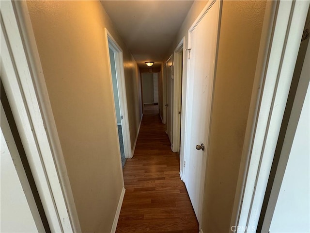 corridor featuring dark wood-style floors