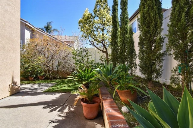 view of yard featuring a patio area and a fenced backyard