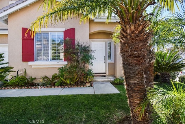 doorway to property featuring stucco siding and a yard